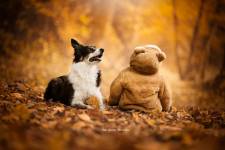 Alena GUIGNABODET - NA MOON PICTURES