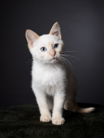 Antoine & Céline RICHARD - MADEMOISELLE R ET MONSIEUR P